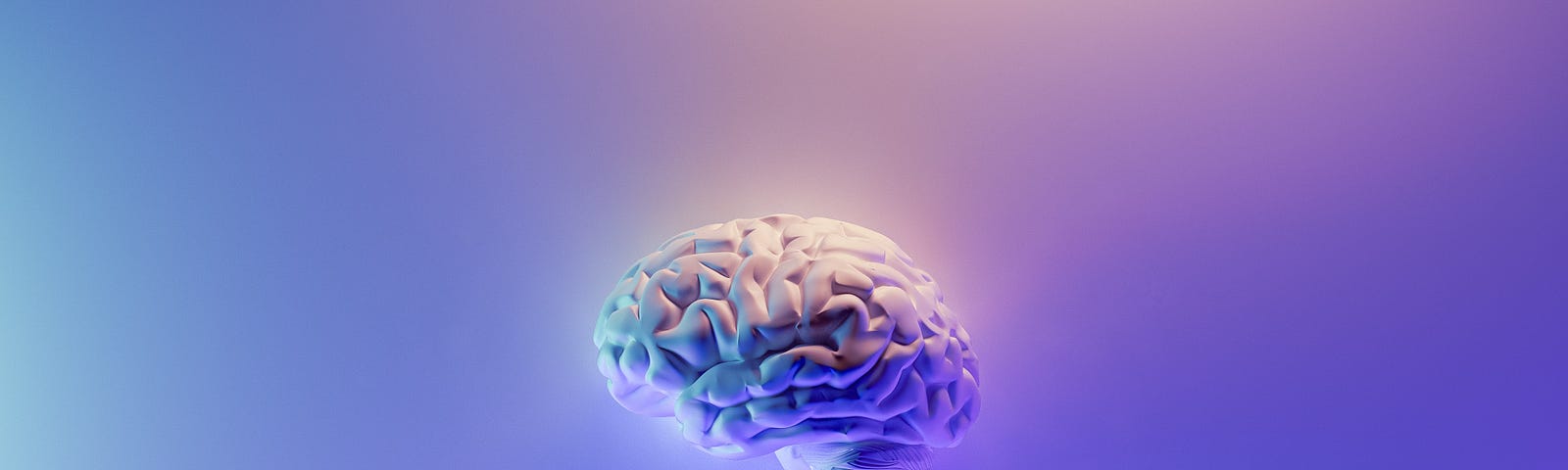 Illuminated human brain.