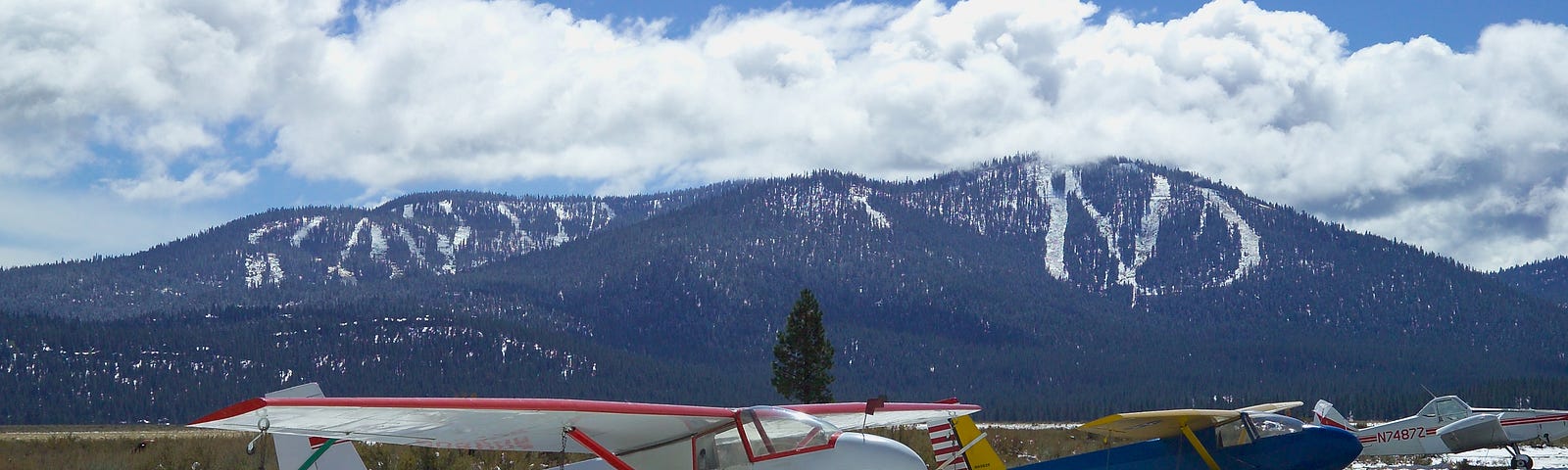 Photo of gliders.