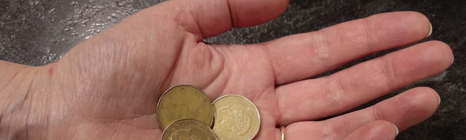 Three Canadian dollar coins resting in the palm of an adult’s hand