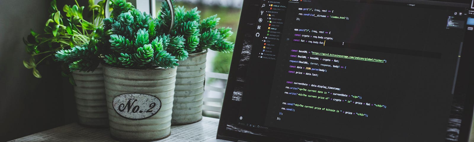 a laptop with code on the screen next to three plant pots in front of a window