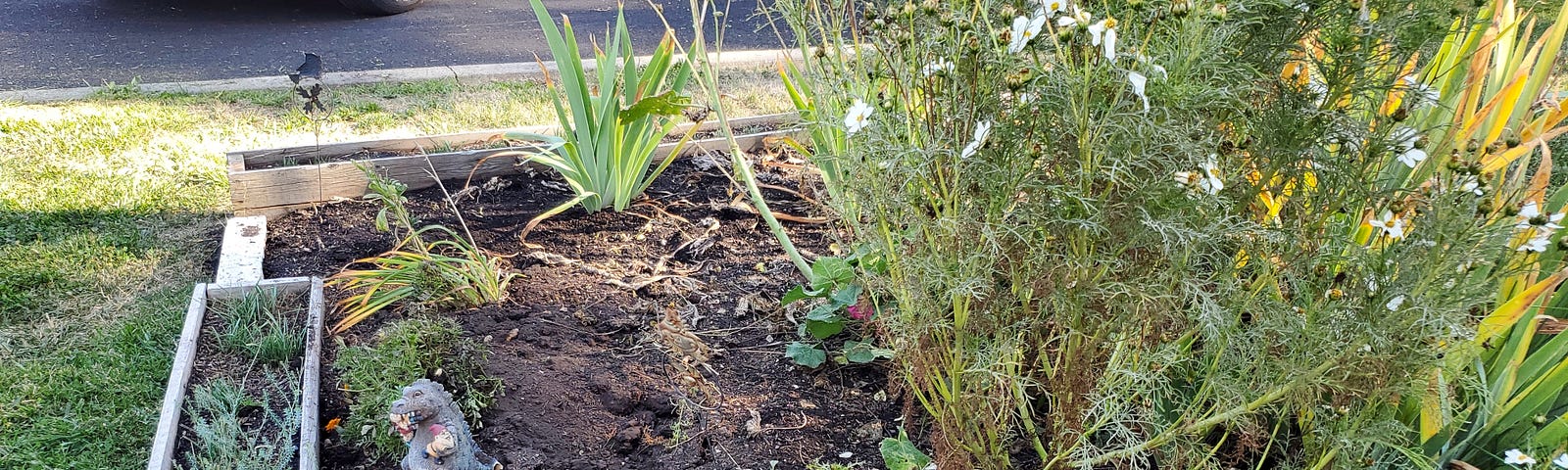 Garden bed with flower boxes around the edge and filled with dirt and assorted plants that are dying off. A small Godzilla yard statue stands toward the front of the bed with a big patch of soil with divots in it behind it.