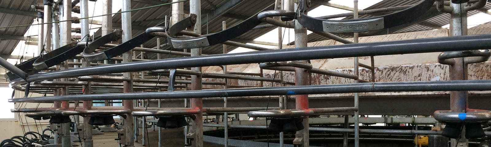 Rotary-Milking System