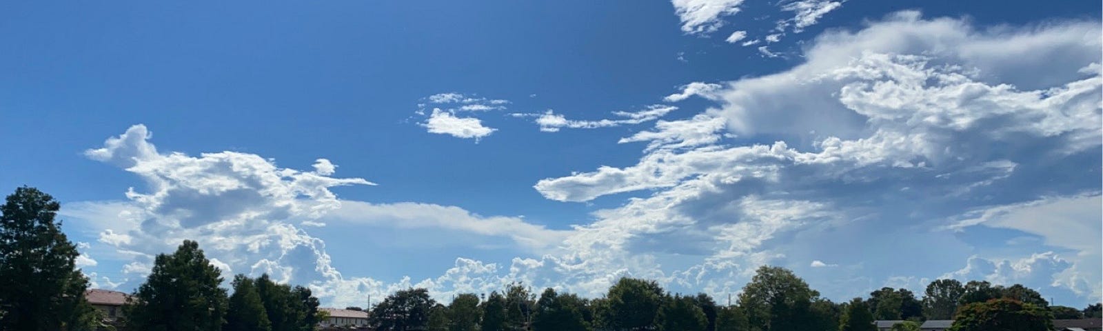 Photo taken by the author of a beautiful blue sky with white clouds, a large pond and green grass.