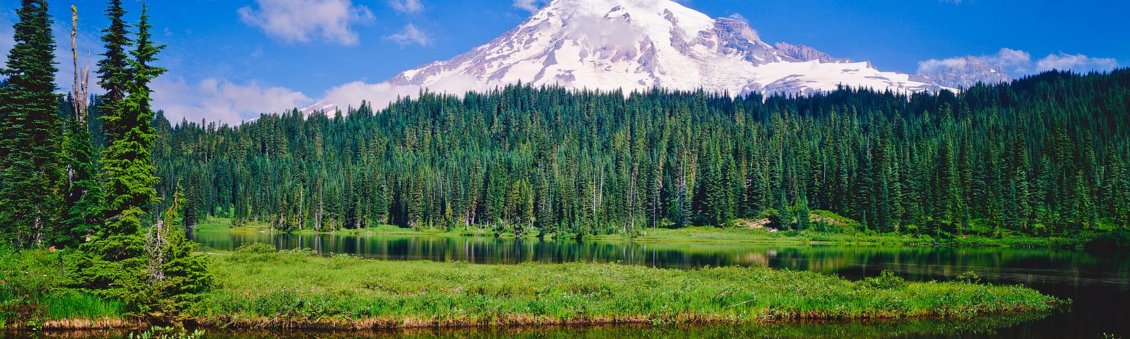 Snow-covered Mount Rainier behind forest and lake