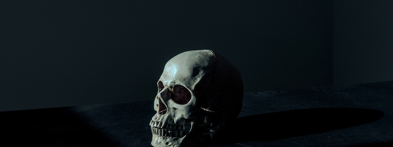 A skull Sitting On A Table In A Pitch Black Room That Evokes Darkness And Fear.