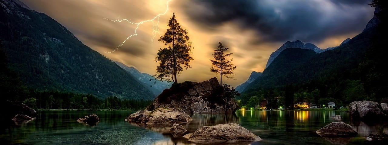 Trees in a thunderstorm