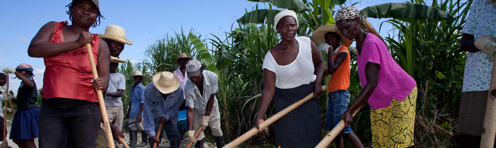 A group of Haitian men and women repair a dirt road in their community. They hold pickaxes, takes, shovels, and other tools.