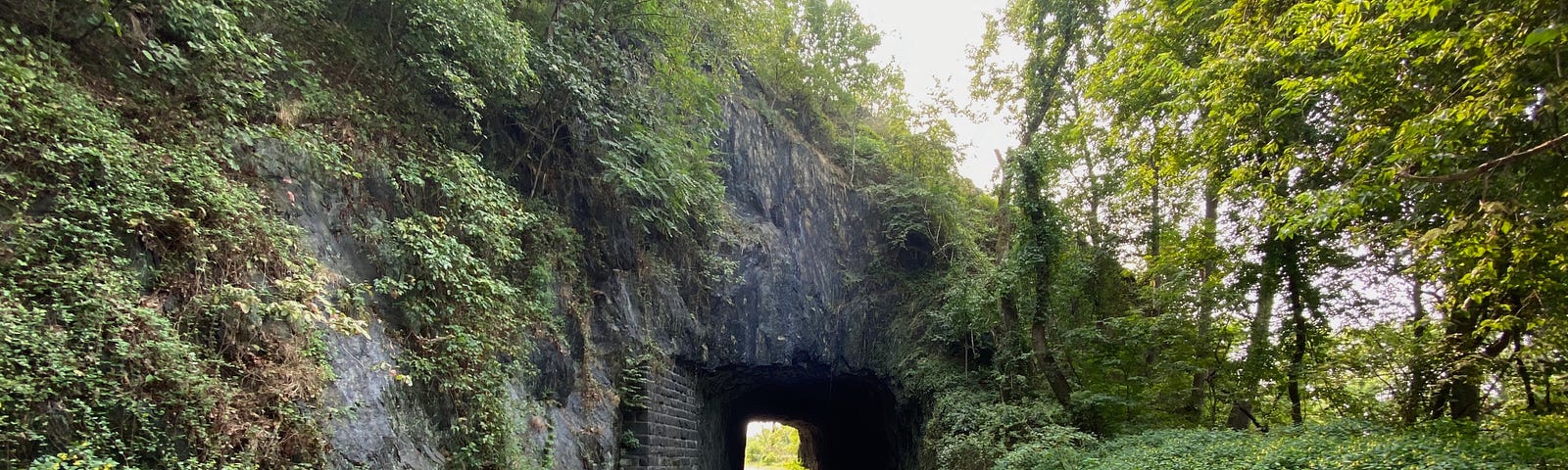 paved path leading to a short tunnel