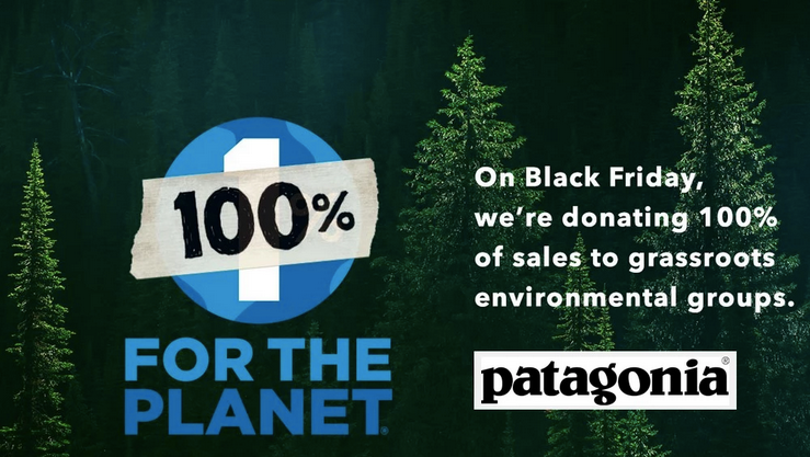 patagonia green marketing