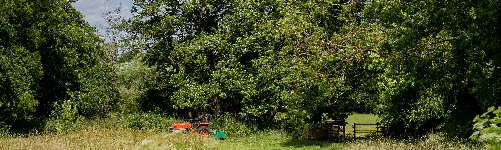 Mowing the Meadow — ©Sarah-Jane White — The Author