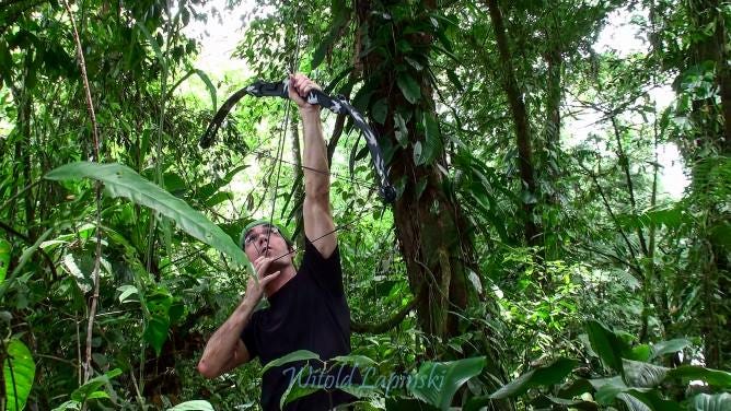 A man with a black shirt shoots an arrow high up into the rainforest canopy. He is surrounded by lush green vegetation.