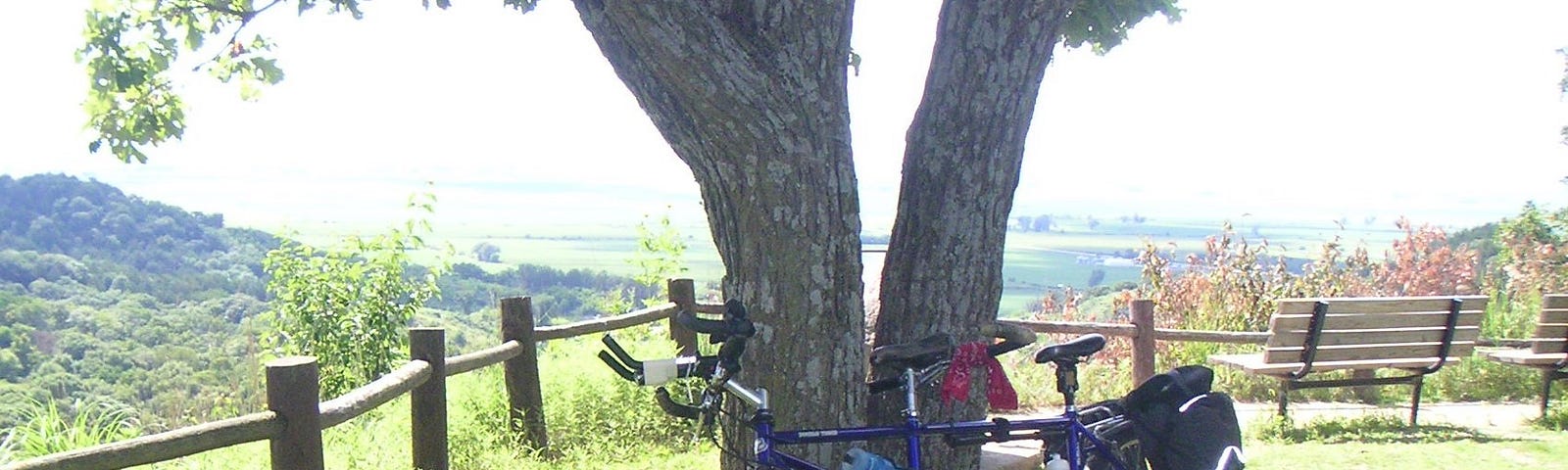 A bicycle built for two on the grass, leaning against a tree. In the background are wooden fence, a valley, and tree-covered hills