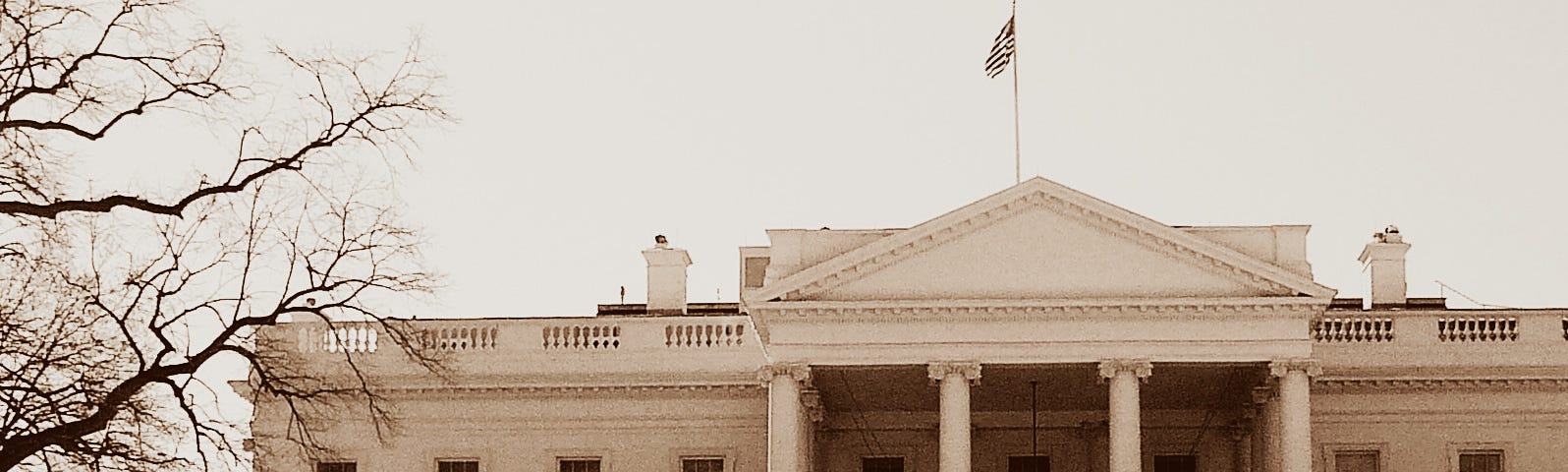 The white house from the front lawn.