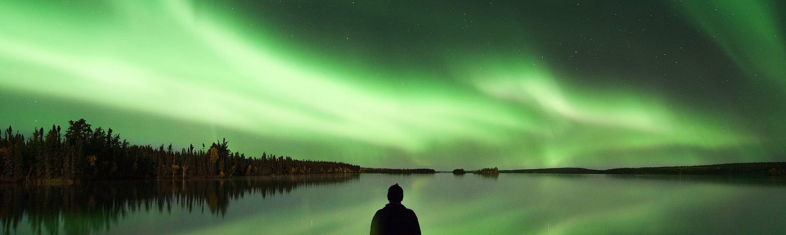 Image of a man standing, with a eerie green background, staring out a bleak and hazy lake, also green.