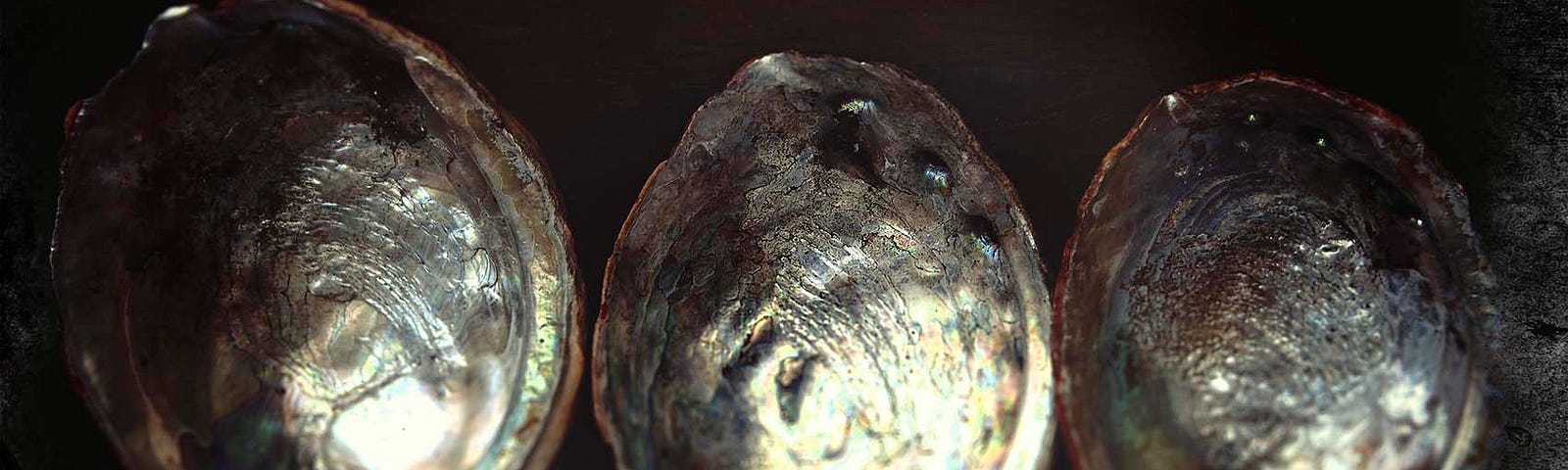 Inner side of red abalone shells.