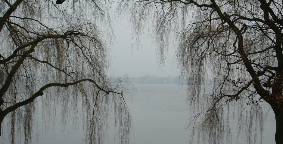 Grey landscape of a bench overlooking the sea and with two trees either side.