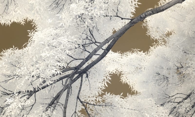 Infrared photograph of leaves, tree branches, and gold sky