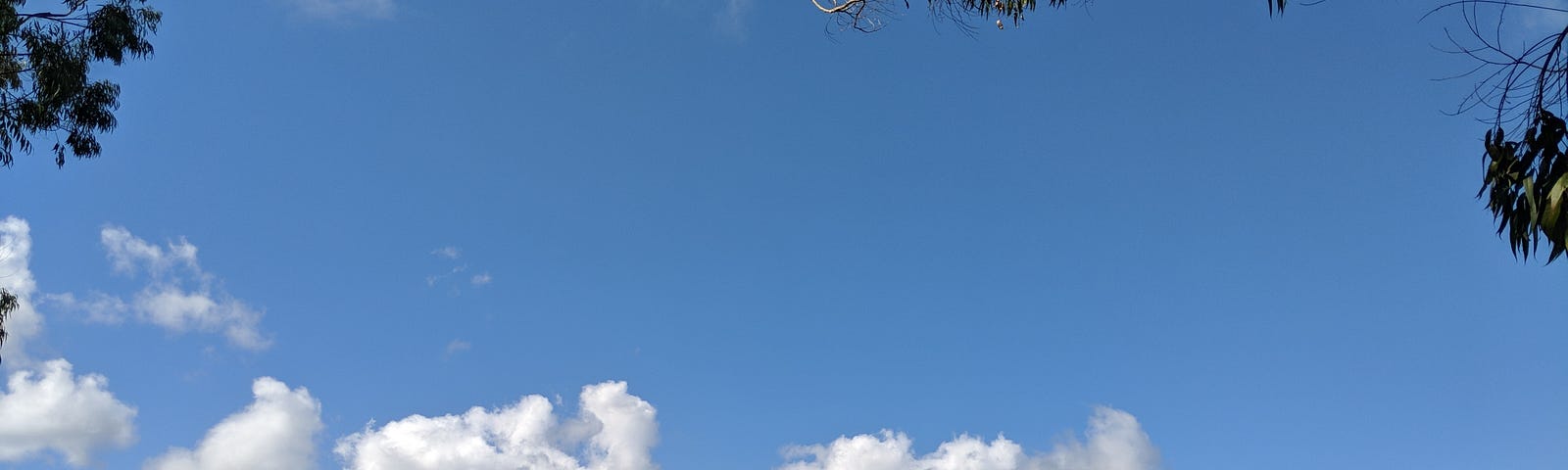 A view of mountains, green grass, and clear blue skies over a pasture on the island of Kauai.