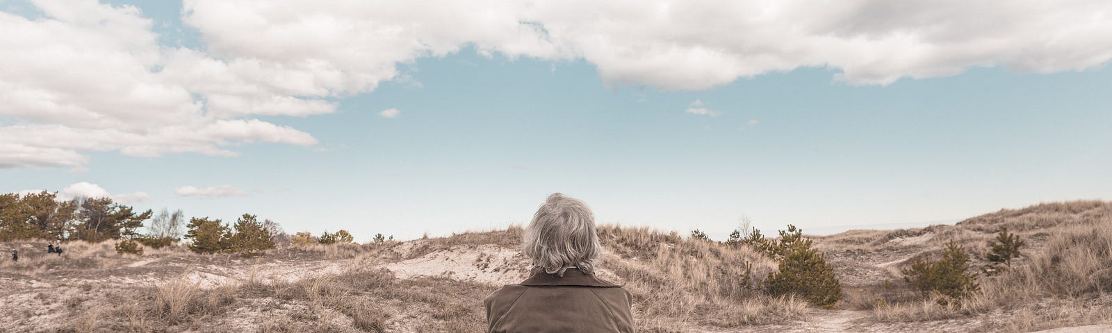 A person with gray hair sitting on a bench, facing away from the camera, looking toward the horizon.