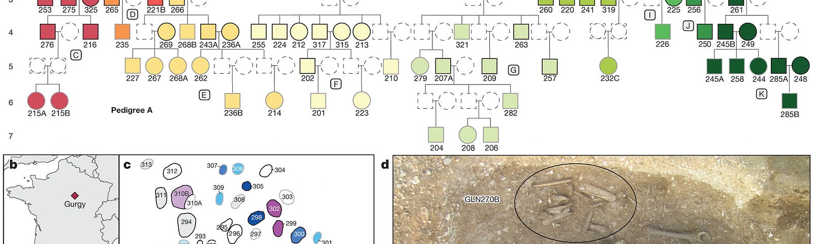 The image shows a burial and all the genealogies detected thanks to ancient DNA