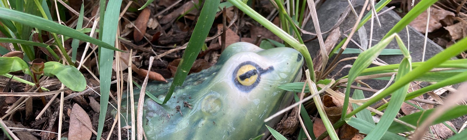 Green ceramicgarden frog