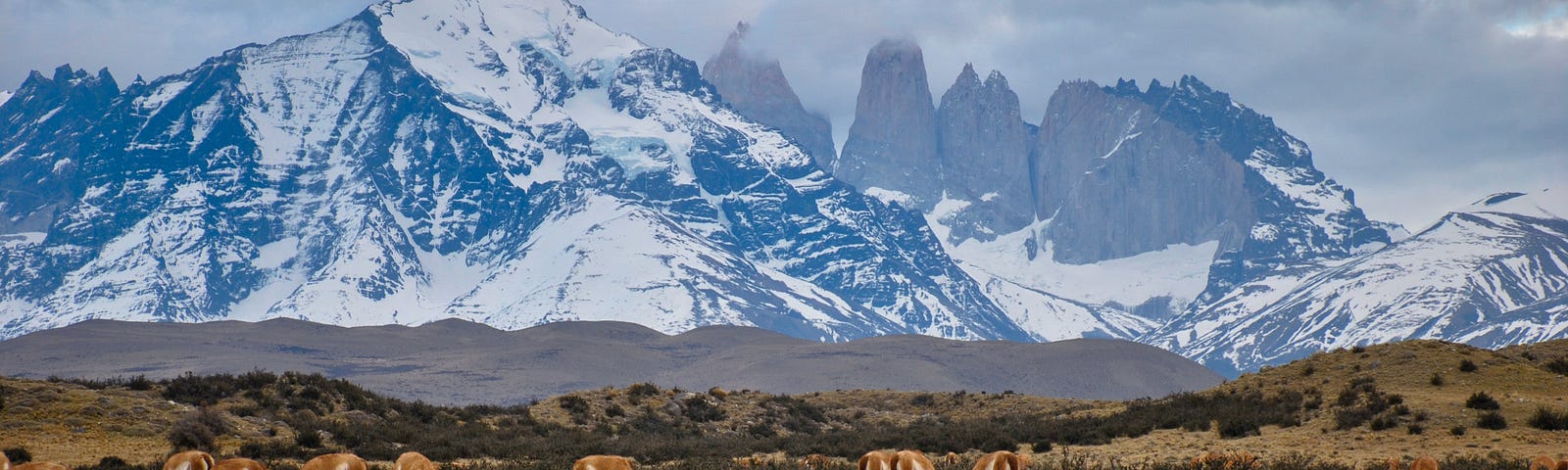 Andes mountains with herd of guanacos grazing in front