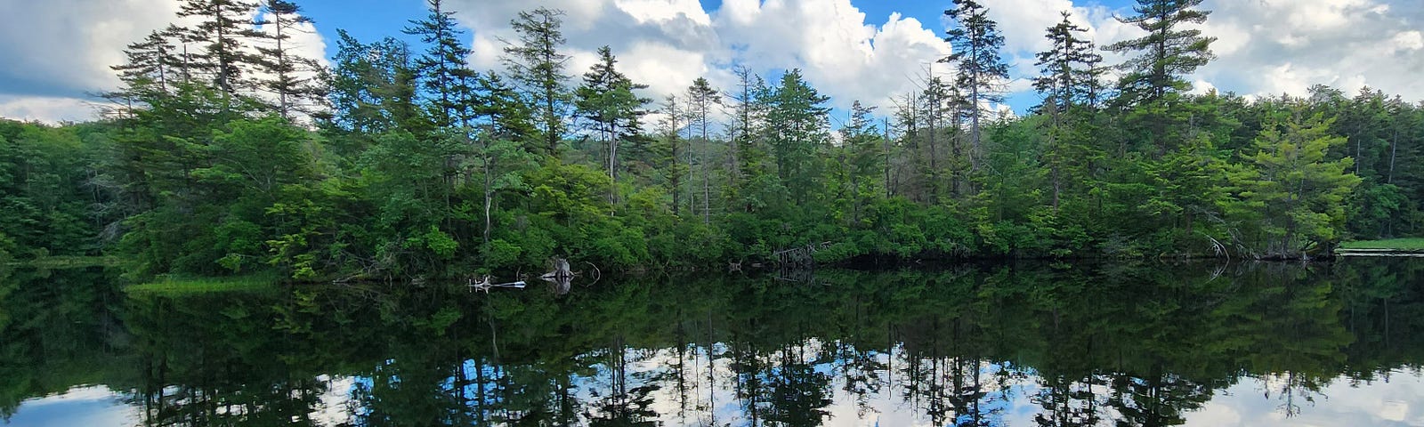 Blue sky, puffy clouds, green trees, reflecting water