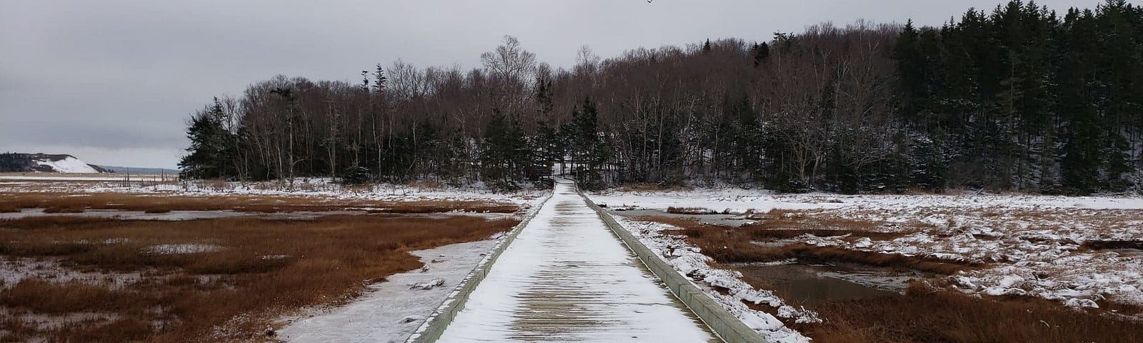 A wooden boardwalk with snow on it stretches over a red marsh towards a forest.