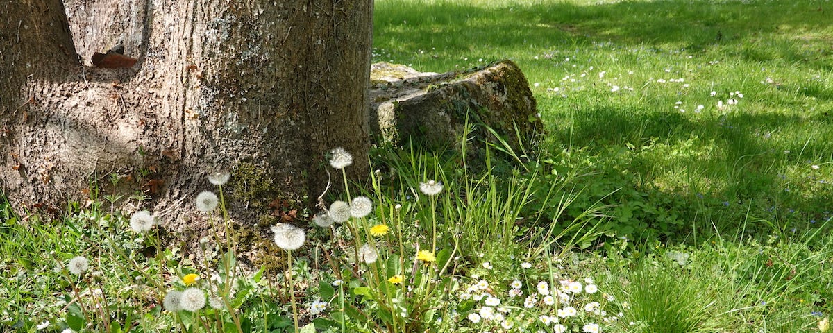 Matin de printemps