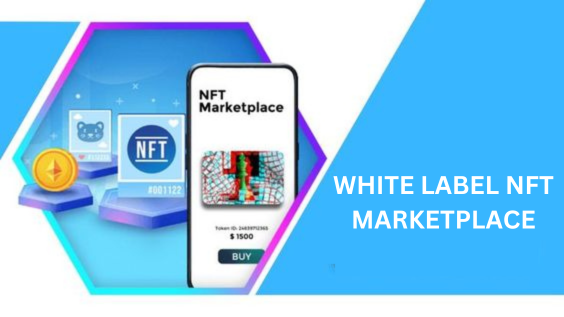 white label NFT Marketplace platform