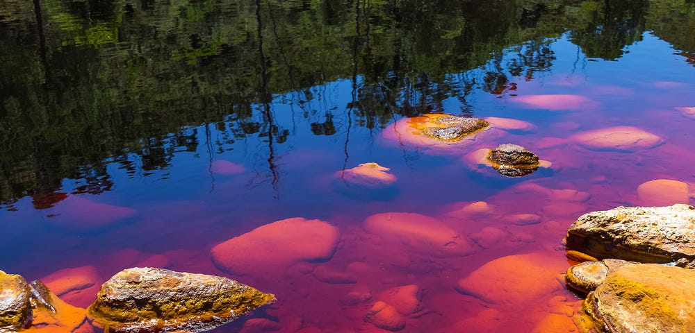 Picture of polluted water, showing different colors