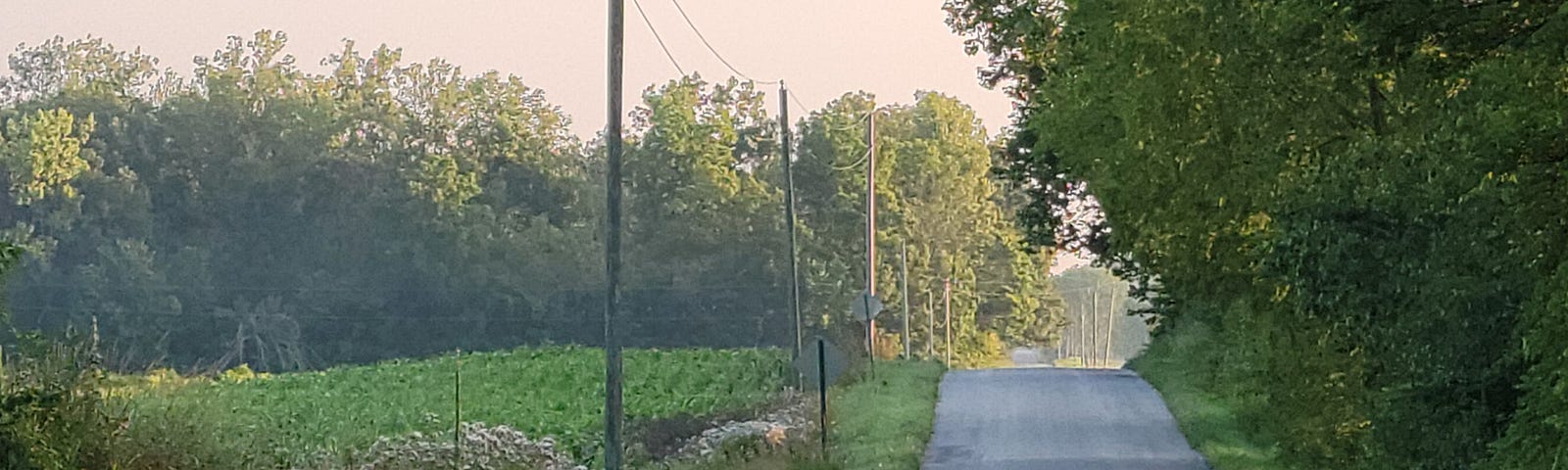 Country road leading off into the distance in the early morning.