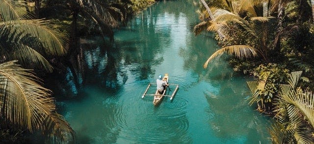 Man in a canoe on river lined with palm trees