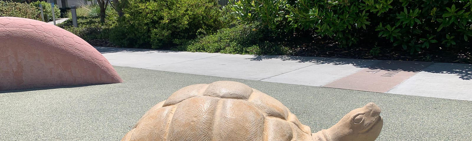 A tan-colored sculpture of a turtle proudly occupies its own path.