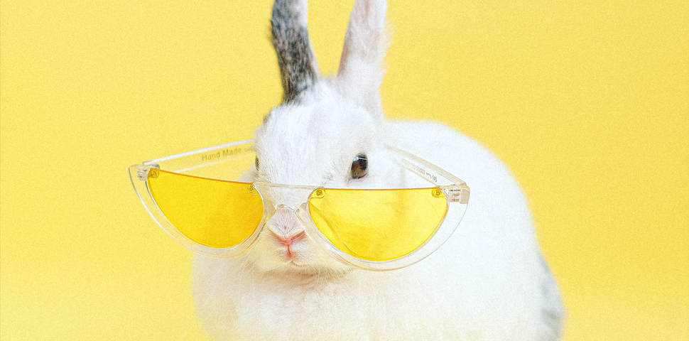 A white bunny with a grey ear wearing yellow half-moon sunglasses in front of a plain yellow background