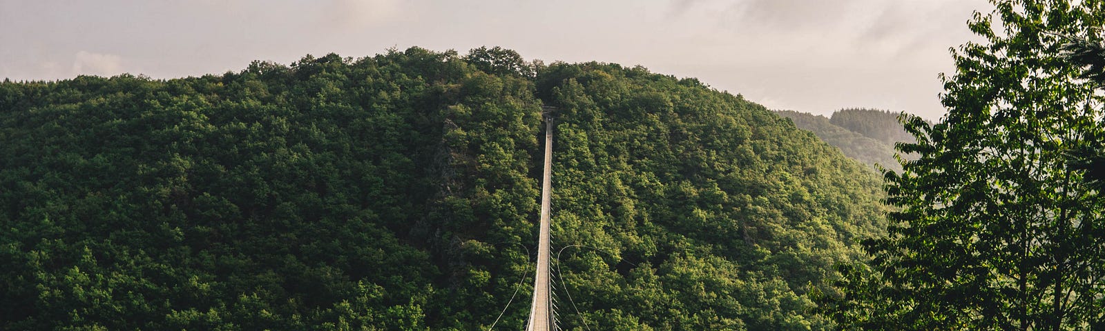 An empty hanging bridge across a ravine in a forest.