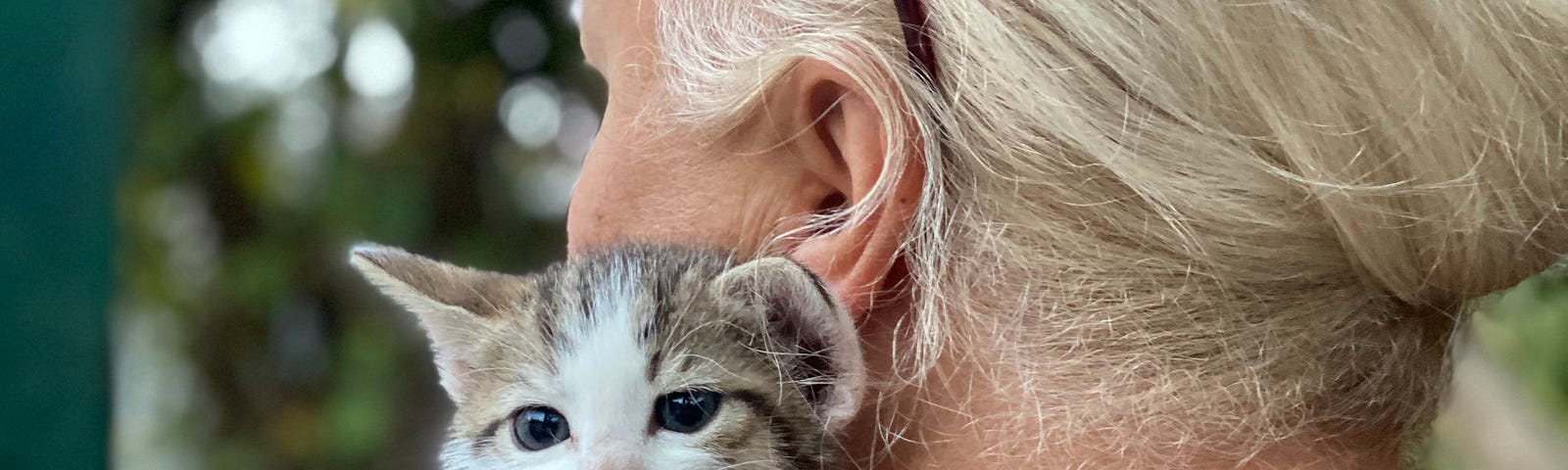 A blond female holding a white kitten on her shoulder.
