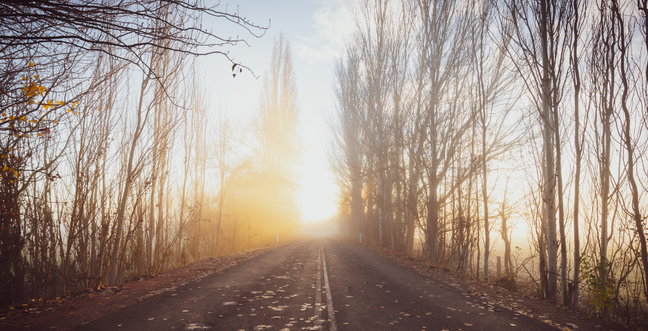 Street view with bare trees lined on the side, leaves scattered on the road and the sun shining through straight ahead…on the road are the words written, “it’s never too late to start.”
