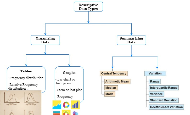 Variation – Analytics Vidhya – Medium
