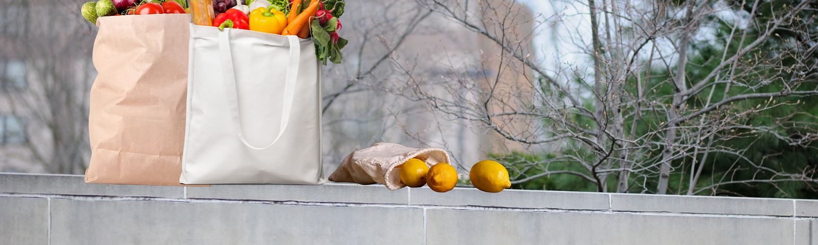 A cloth tote bag and a paper grocery bag filled with an assortment of fresh vegetables and fruits, placed on a stone ledge with the word “UNIVERSITY” engraved on it. There are also some loose oranges next to the bags. The background features bare tree branches and a hint of buildings, suggesting an academic setting.
