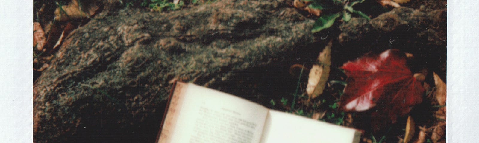 A book in the woods.