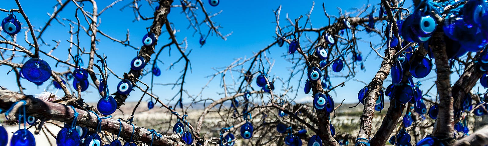 Tree covered with Turkish blue eye stones for keeping away the evil eye
