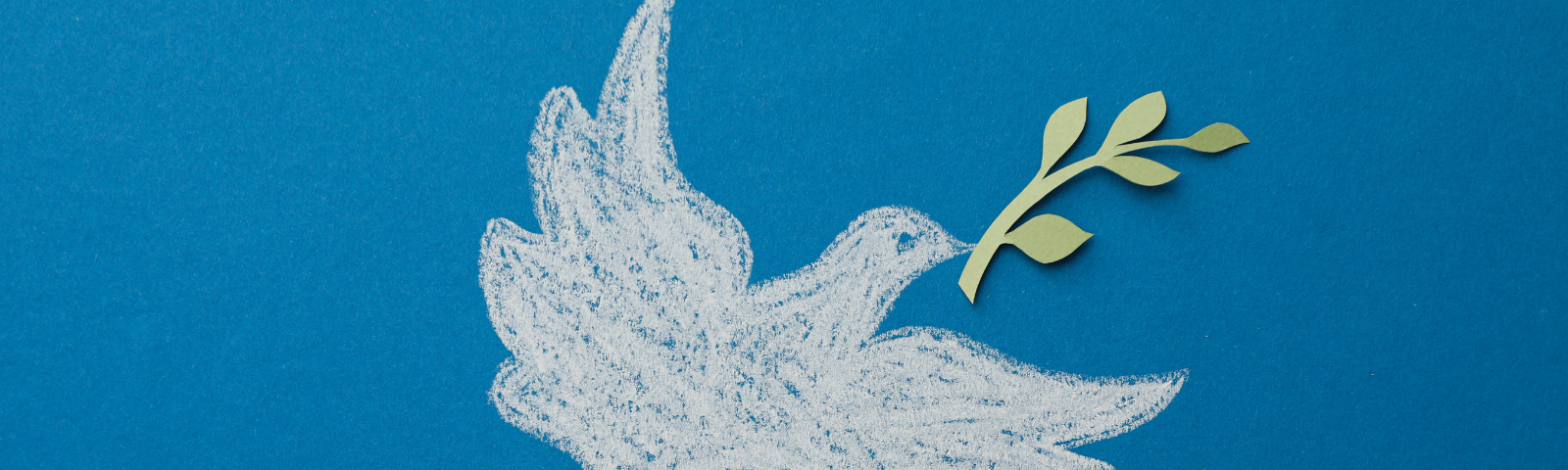 Chalk drawing of a dove carrying an olive branch on a blue background, symbolizing peace.