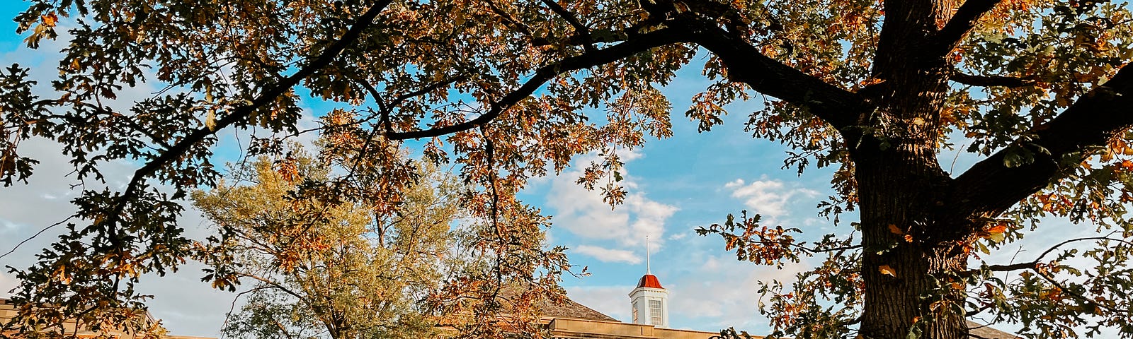 The rising sun shines on fall trees as Love Library peeks out between branches