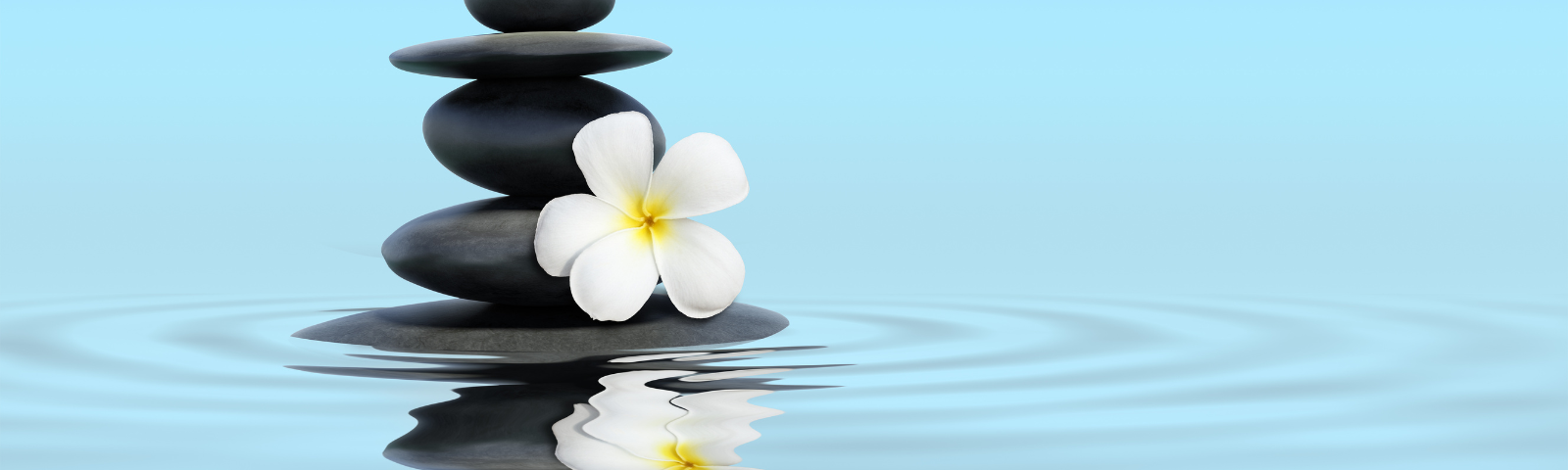 A stack of smooth black zen stones with a white frangipani flower on top is reflected on a serene blue water surface, symbolizing peace and balance.
