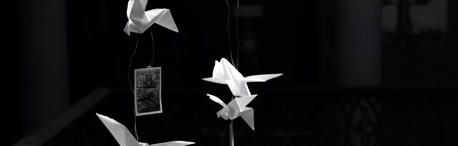 Black and white image of origami figures hanging on a wire with photographs of flowers attached to them.