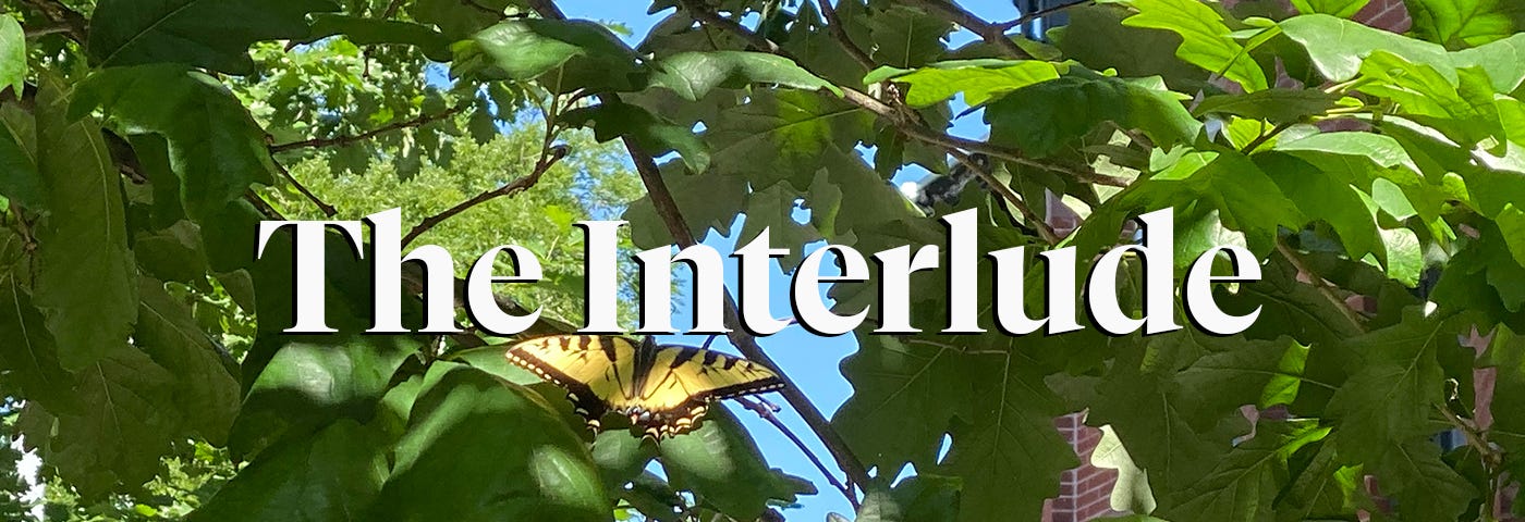 The Interlude logo against a backdrop of trees and butterflies.