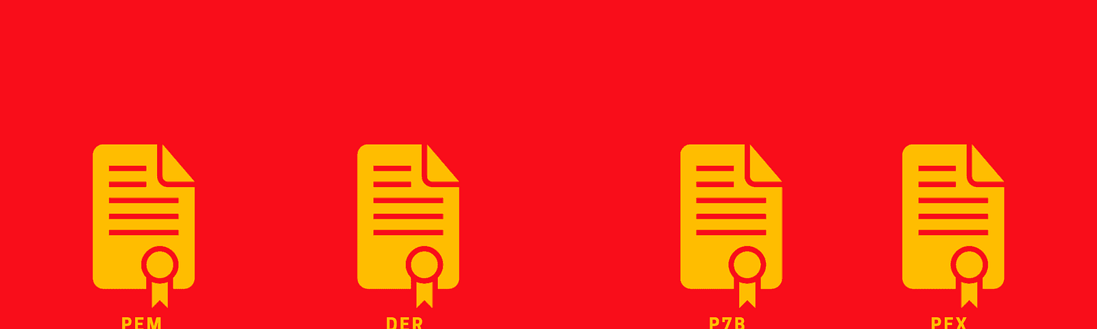 certificate formats types indicated on a red background
