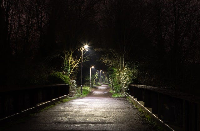 Dark street with trees and hedges lit only by streetlights