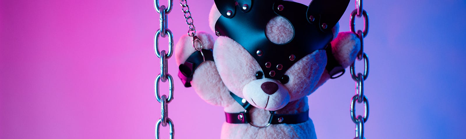 BDSM stuffed bear for an article about kink, love, relationships and sex.